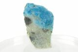 Vibrant Blue Cyanotrichite Crystal Aggregates - China #238794-1